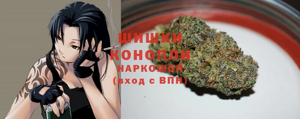 сатива Алексин