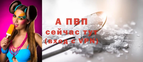 apvp Алзамай