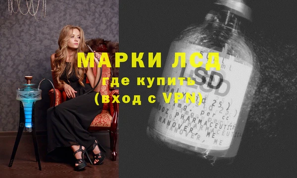 apvp Алзамай