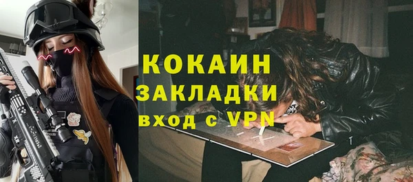 соль ск Арсеньев
