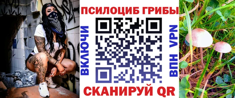 Купить закладки  Урюпинск  Псилоцибиновые грибы GOLDEN TEACHER 